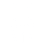 Icon of a female torso representing women's health services, emphasizing gynecological care and preventive health.